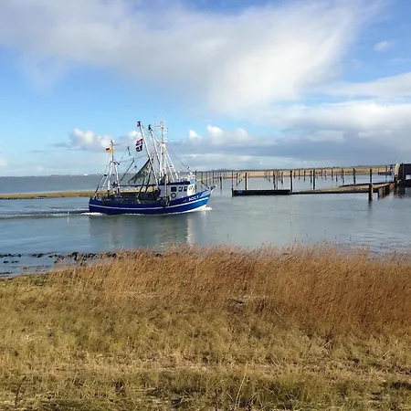 別荘 Oll Deep Kate ドルヌマージール